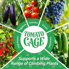 4 Pack Square Tomato Cages for Garden, 60 Inch Adjustable Tomato Stakes, Metal Tomato Trellis, Garden Plant Support for Potted Climbing Plants, Vegetables Flowers Fruits, Raised Garden Bed