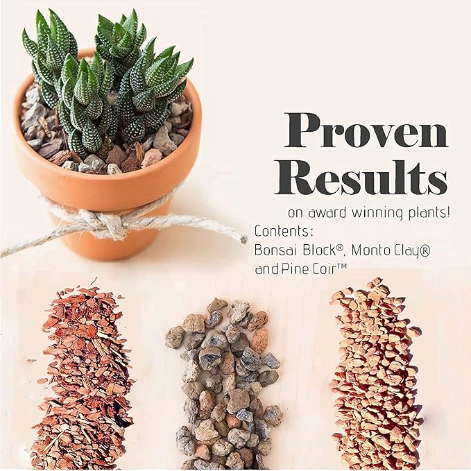 Bonsai Jack Succulent, Cactus and Bonsai Soil - Jacks Gritty Mix - 2 Gallons – Fast Draining – Fight Root Rot – Optimized pH