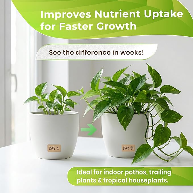 Professional Pothos Soil Potting Mix 2.2 Quarts Ready to Use, Premium Indoor Plant Soil for Pothos Plants, Pothos Dirt with Peat Moss Coco Coir Perlite Dolomite, Made in USA