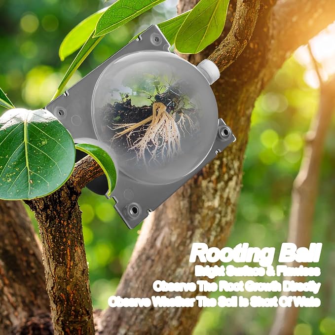 30 Pcs Air Layering Propagation Kit Reusable Half Black Half Transparent Grafting Ball Air Layering Pods Propagation Box Plant Rooting Grafting Box for Plants, Medium