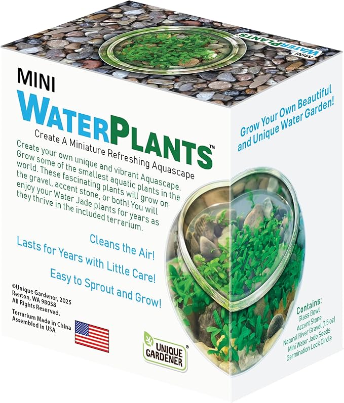 Mini WaterPlants - Create Your Own Soothing Aquasacape Starter Kit, Indoor Plant Glass Globe Terrariums with Complete Supplies, Just Add Water, 3-Pack