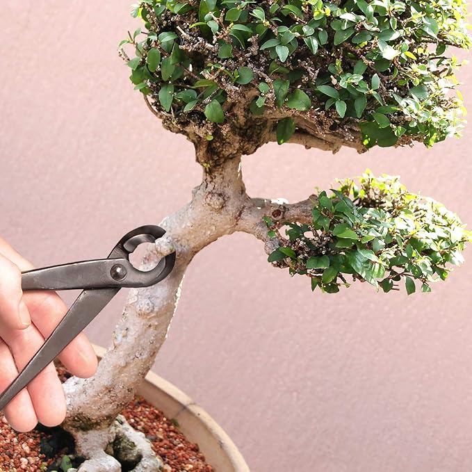 BambooMN Bonsai Tool Kit - 8" Concave Cutter & 8" Knob Cutter - 1 Set