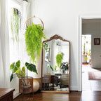 Fake Hanging Plants Faux Vine Leaves Artificial Green Eucalyptus Plants Fake Hanging Eucalyptus Leaf Plant Decorate Indoors Outdoors Decor of Living Room Kitchen Yard Garden Bedroom Wall(Light Green)