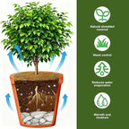 4 Pack 15.7 Inch Coconut Fiber Mulch Ring - Natural Coco Coir Tree Ring Protector Mats, Weed Barrier Plant Discs for Moisture Retention, Indoor Outdoor Trees and Landscaping