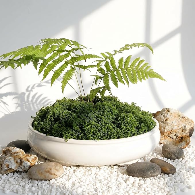 Artificial Moss for Potted Plants Indoor, 7OZ Fake Green Moss, Faux Craft Moss for Terrariums, Fairy Gardens, DIY Crafts, Table Centerpieces, Wedding & Home Decor (Natural Green)