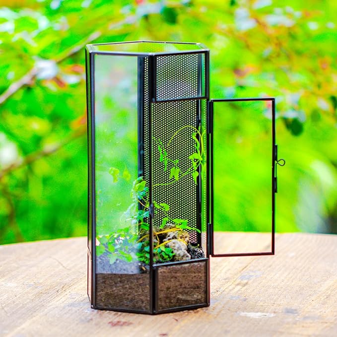 NCYP Small Glass Terrarium with Mesh and Door for Spiders, Hexagon Shape Small Mantis Vented Glass Terrarium 4.9'' x 4.3'' x 9.4'', Tabletop Decor, Black (Plants Not Include)