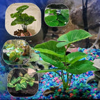 CousDUoBe 12 Pcs Betta Fish Tank Decor，Silk Aquarium Plants Green Fish Tanks Decoration Plants, Aquarium Decorations Green Plants