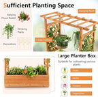 LDAILY Raised Garden Bed with Trellis, Above Ground Garden Bed with Hanging Roof, Side Trellis, & 4 Drainage Holes, Planter Box for Outdoor Climbing Plants Vines Flowers (1, 43.5"L x 17.5"W x 44.5"H)