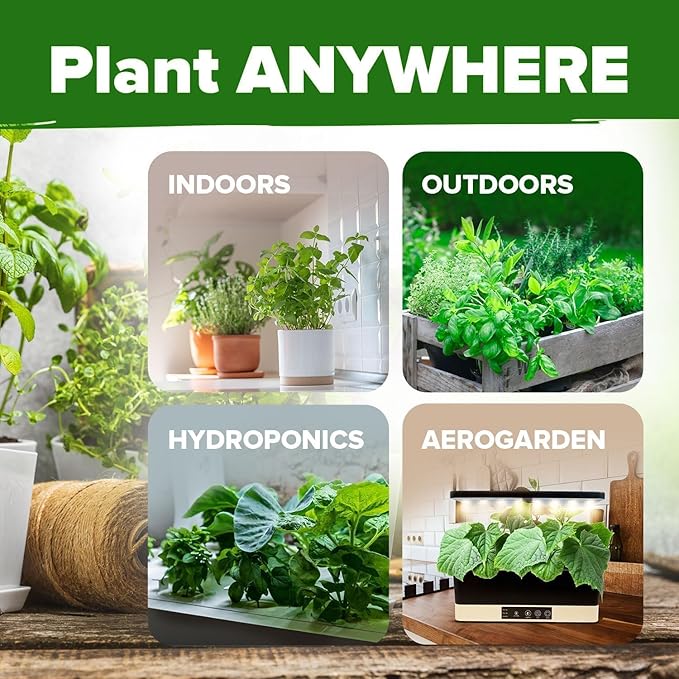 HOME GROWN Herb Seeds for Planting 15-Pack Massive Seed Count 4,300+ Seeds Non-GMO Heirloom | Extra Large | Culinary Herb Kit, Indoor Outdoor & Hydroponic | Grow Your Own Herbs | Gardening Gift