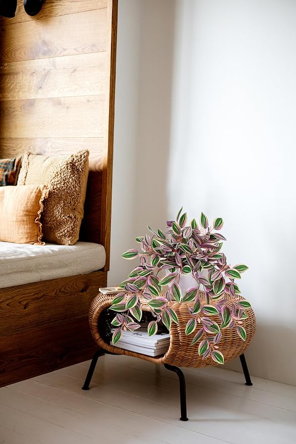 Briful Faux Plants Indoor Fake Potted House Plants Artificial Watermelon Peperomia Hanging Plant for Home Office Bedroom Aesthetic Shelf Kitchen Decoration(Pink - 1 Pack)