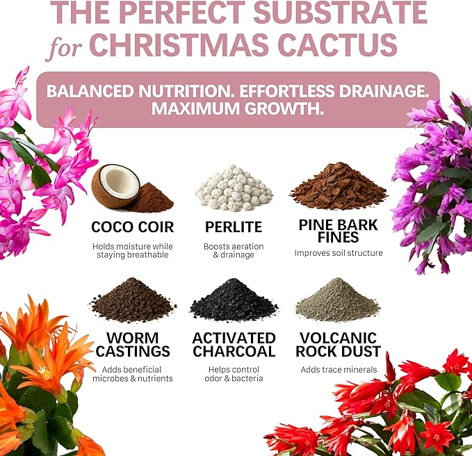 Premium Christmas Cactus Soil – Organic, Nutrient-Rich, Optimal-Draining Potting Mix for Schlumbergera – Promotes Healthy Roots, Balanced Moisture & Vibrant Blooms – Ready to Use (1 QT)