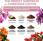 Premium Christmas Cactus Soil – Organic, Nutrient-Rich, Optimal-Draining Potting Mix for Schlumbergera – Promotes Healthy Roots, Balanced Moisture & Vibrant Blooms – Ready to Use (1 QT)