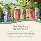 Modern Sprout Garden Jar & Herb Stripper Bundle Self-Watering Herb Grow Kit w/Recyclable Mason Jar + 3-in-1 Prep Peeler & Grater Plate - Indoor Gardening - Gift for Mother's Day (Rosemary & Parsley)