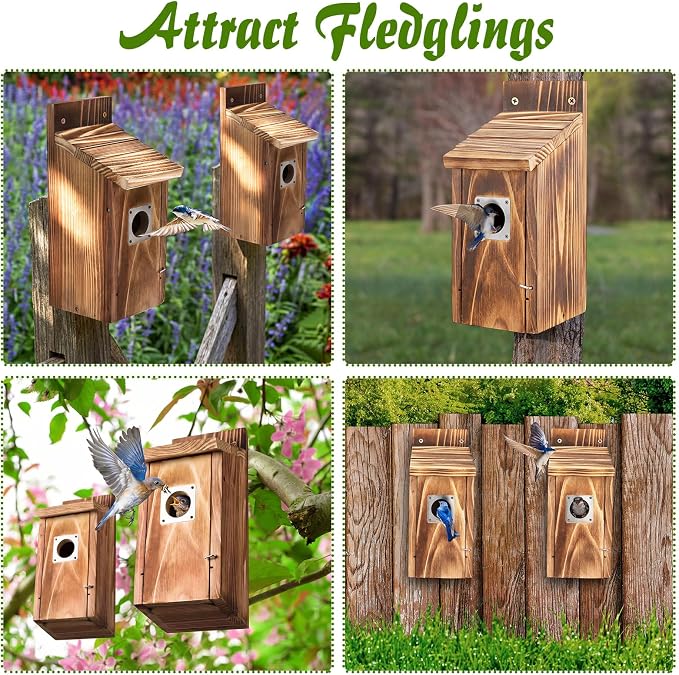 Dreyoo 2 Pack Bluebird Box Houses for Outside,1-1/2'' Entrance Hole Wooden Bird Houses with Metal Guard, Secure Latch,Fledgling Grooves,Air Vents for Bluebird Wren Swallow(Burnt Wood)
