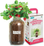 Back to The Roots Organic Strawberry Grow Kit — Grows Year Round, Includes Everything Needed for Planting