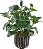 florisso Artificial Succulents with Fig Leaf Greenery in Black & Gold Planter, Fake Succulents Potted Decor for Farmhouse, Bathroom, Bedroom, Kitchen, Office Desk and Coffee Table (Black Gold)