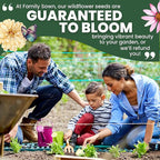 All Annual Quick Blooming Mix - 16,000 Flower Seeds for Planting - Wildflower Mix - Large 1 Ounce Packet
