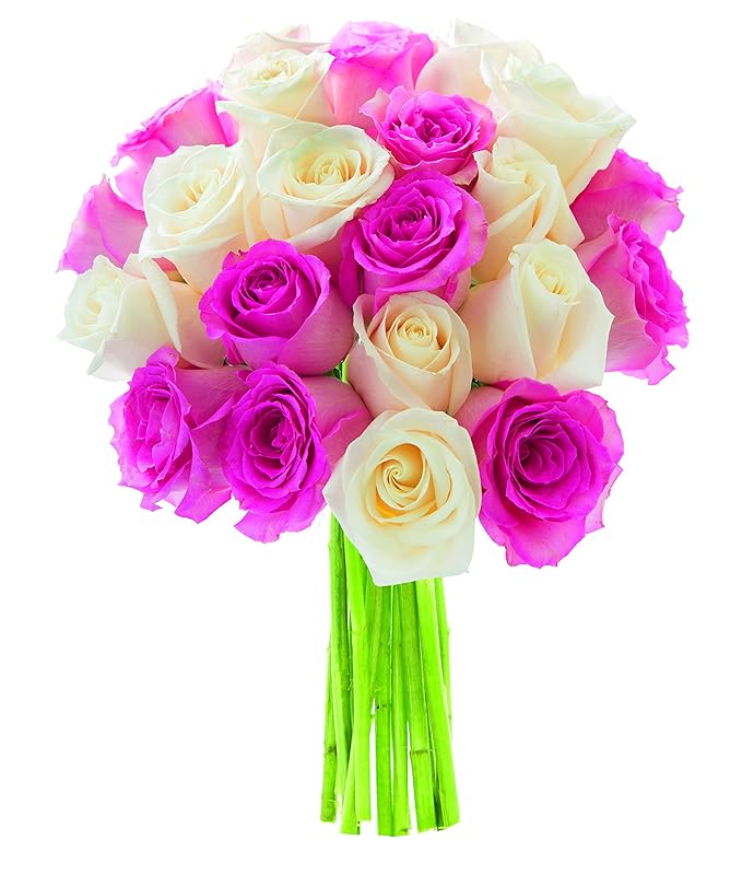 KaBloom - Bouquet of Long Stemmed Pink and White Roses| Fresh For Delivery Prime - Fresh Flowers for Birthday, Valentine's & Mother's Day
