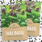 Organic Thai Basil Seeds – Seed Packet of Over 440 Open Pollinated Non-GMO Seeds – Sweet Yards Seed Co.