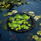 2 Pieces Round Floating Plant Fish Barrier Floating Plant Island Floating Island Plant Protector Pond Plant Protector Protect Your Floating Plants from Pond Fish