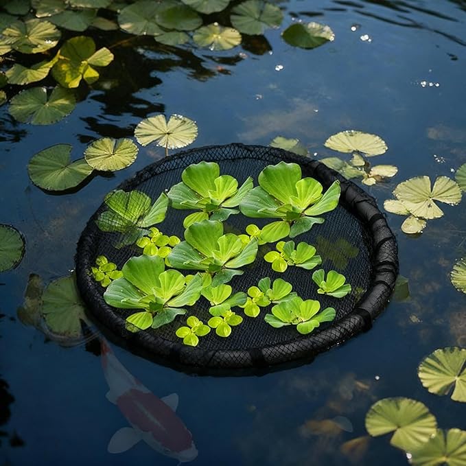 2 Pieces Round Floating Plant Fish Barrier Floating Plant Island Floating Island Plant Protector Pond Plant Protector Protect Your Floating Plants from Pond Fish