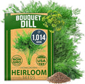 HOME GROWN Non GMO Dill Seeds for Planting 1,014 Bouquet Dill Seeds and Heirloom Herb Seeds for Planting Outdoors, Grow Your Fragrant Dill Herb Garden (Anethum graveolens)