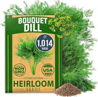 HOME GROWN Non GMO Dill Seeds for Planting 1,014 Bouquet Dill Seeds and Heirloom Herb Seeds for Planting Outdoors, Grow Your Fragrant Dill Herb Garden (Anethum graveolens)
