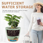 Plant Pots 8/7/6.5/6/5.5/5 Inch Self Watering Pots, Set of 6 Plastic Planters with Drainage Holes and Saucers,Plastic Flower Pots,Nursery Planting Pot for Indoor Out Door Plants（Green）