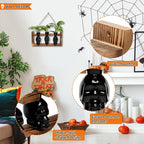 Plant Terrarium Propagation Stations Hydroponics Halloween Skull Planter Vase Skulls Decor with Wooden Stand Gife for Father