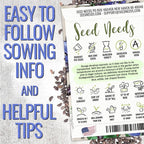 Seed Needs Borage & Chives Seeds for Planting Fresh Kitchen Herbs - Non-GMO Heirloom & Untreated Perennial Herb Seed to Plant a Culinary Garden Indoors or Outdoors (2 Pack Duo)