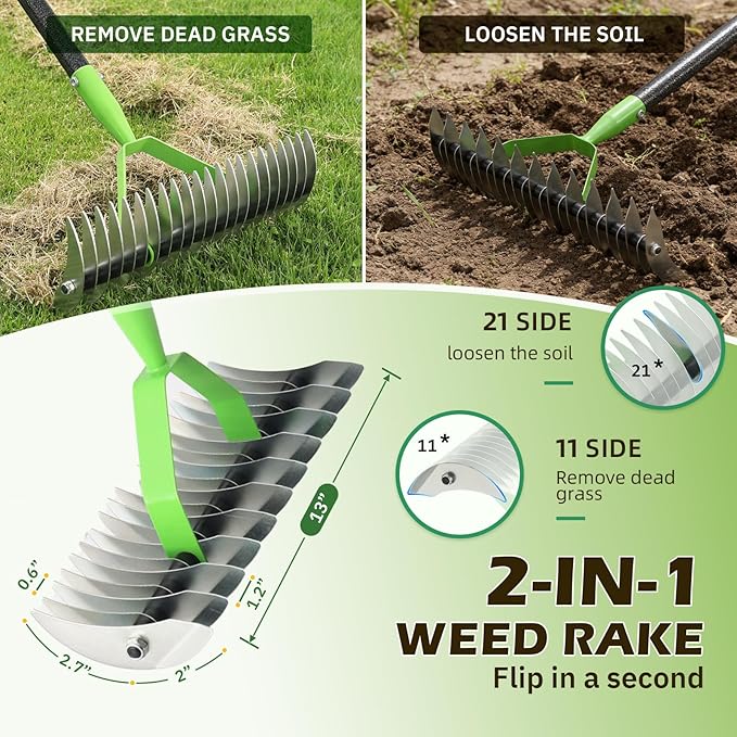 Dual-Action Dethatcher Rake - 21-Tine, Adjustable Long-Handle Landscaping Rake with 55", Heavy Duty Thatch Rake,Turf Rake for Artificial Grass, Metal Rake for Spring Lawn Care, Soil Aeration