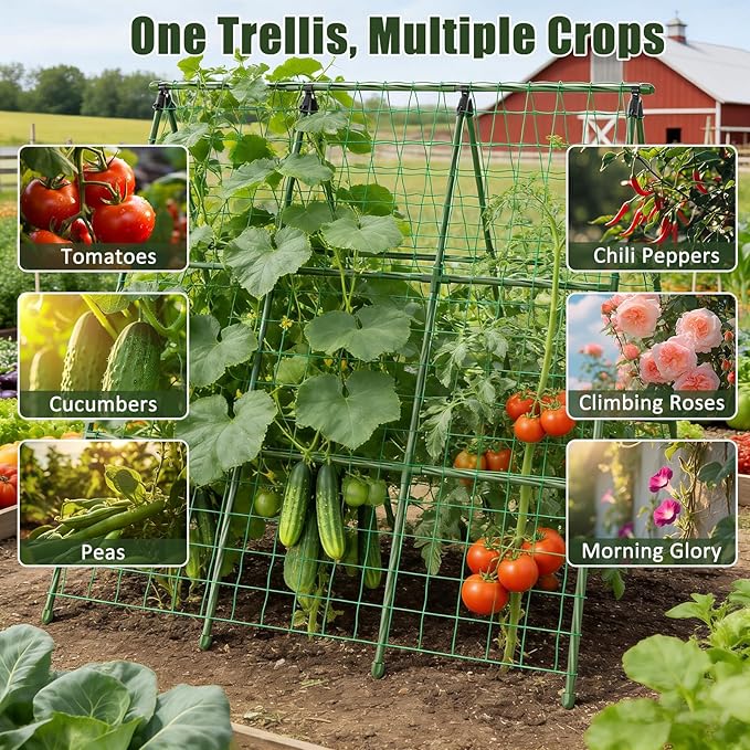Miory Cucumber Trellis, A-Frame 48" Lx48 H Trellis for Raised Bed, Garden Trellis for Climbing Plants Outdoor, Plant Support for Cucumber