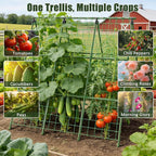 Miory Cucumber Trellis, A-Frame 48" Lx48 H Trellis for Raised Bed, Garden Trellis for Climbing Plants Outdoor, Plant Support for Cucumber