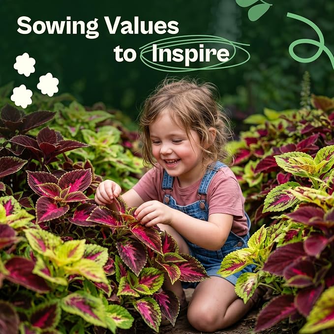 SVI 1200 Rainbow Coleus Seeds (Plectranthus Scutellarioides) - Painted Nettle Garden Seed Packets, Colorful Foliage Mix, Shade Tolerant - Annual Flower Seeds for Indoor & Outdoor Garden and Borders