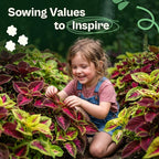 SVI 1200 Rainbow Coleus Seeds (Plectranthus Scutellarioides) - Painted Nettle Garden Seed Packets, Colorful Foliage Mix, Shade Tolerant - Annual Flower Seeds for Indoor & Outdoor Garden and Borders