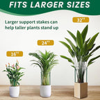 TCBWFY 14" Dx32 H Plant Supports Stakes for Large Heavy Plants,10Pack Peony Supports,Heavy Duty 5mm Wire Peony Cages,Interlock Garden Supports Ring Border Support,Plant Support Cage for Rose Flower