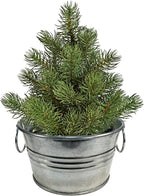 Unique Gardener Grow Your Own Christmas Tree Plant Seeds 3-Pack, DIY Indoor Succulents and Live Plants for Home or Garden Planting, Perfect Pine