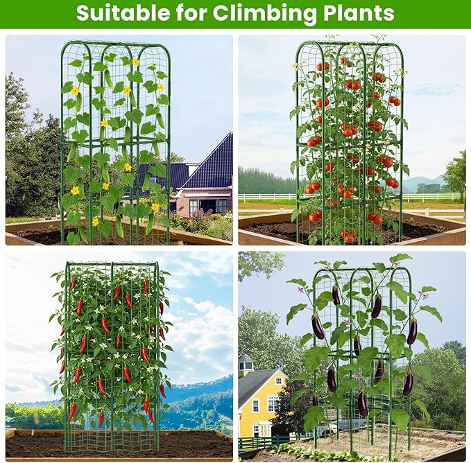 62in Tall Cucumber Trellis for Raised Bed, 34" L x 62" H Metal Garden Trellis for Climbing Plants Outdoor, U-Shape Vegetables Trellis Support for Squash Zucchini Peas Grape