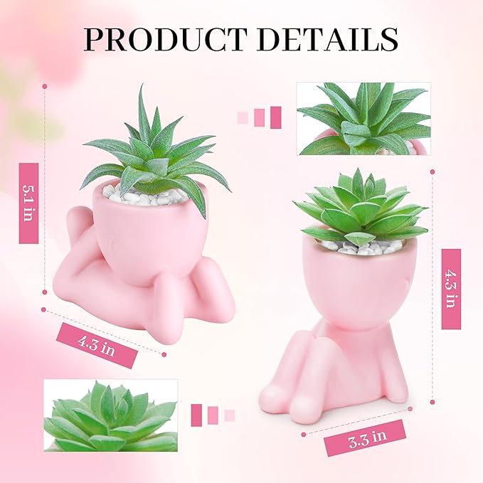 Der Rose 2 Pack Pink Succulents Plants Artificial Small Fake Plants Ideal Gift for Home Office Desk Decor