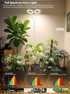 GLOWRIUM Grow Lights for Indoor Plants, Full Spectrum LED Grow Light Floor Lamp with Stand Adjustable Height and Angle, Black Plant Light with 3/9/12H Grow Light Timer (White, 36W)