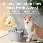 Veken Innovation Award Winner Stainless Steel Cat Water Fountain, 108oz/3.2L Automatic Pet Fountain Dog Water Dispenser with 3 Replacement Filters & Silicone Mat, Gifts for Cats, Dogs (Silver)