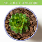 Houseplant Mulch (8 Quarts), Small Bark Wood Chips for Indoor, Patio, Potting Media, and Much More!