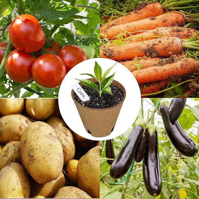 Napia Peat Pots Seed Starter - 45 Pack 3.15 inch Biodegradable Seed Starter Pots Peat Pots for Seedlings with 30pcs Plant Labels, Seedling Pots Starter Pots for Planting Seeds with Drainage Holes