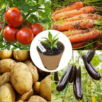 Napia Peat Pots Seed Starter - 45 Pack 3.15 inch Biodegradable Seed Starter Pots Peat Pots for Seedlings with 30pcs Plant Labels, Seedling Pots Starter Pots for Planting Seeds with Drainage Holes