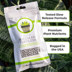 Succulent and Cactus Fertilizer in 5oz. Bag | Long Lasting Gentle Plant Food Formula for All Live Succulents, Cacti, and Other Desert Houseplants