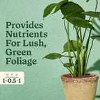Miracle-Gro Indoor Plant Food for Tropicals, Liquid Plant Food for Tropical Houseplants, 8 fl. oz., 2-Pack