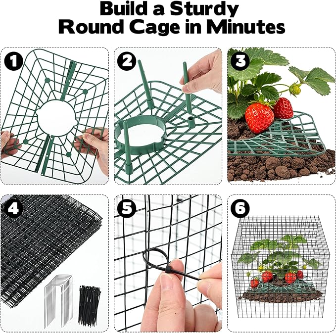 6 Set Upgraded Strawberry Protection Supports with Wire Plant Protectors from Animal Sturdy Metal Wire Plant Cages Mesh Plant Cover Strawberry Growing Racks Planting Stand for Garden,12 Inch Square