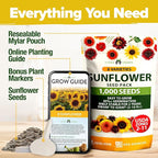 HOME GROWN Sunflower Seeds for Planting | 8 Varieties |1000+ Non-GMO Sun Flower Seeds Packets to Plant: Grow Dwarf Sunflowers, Mexican Sunflowers, Wild, Lemon Queen,Autumn Beauty,Sunspot, Velvet Queen