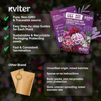 KVITER 5000 Mix Sweet William Seeds for Planting (Dianthus barbatus) – Organic & Heirloom Seed, Clove-Scented Blooms, Drought Tolerant – Perennial Flower Seeds to Plant Outside & Inside