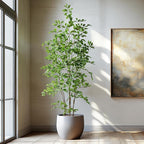 Bailikang Artificial Ficus Tree Indoor 6ft, Large Potted Faux Tree with Realistic Silk Leaves & Trunk for Home Office, Living Room Corner Decor
